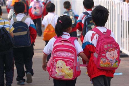 我市即將啟動義務(wù)教育階段學(xué)校新生網(wǎng)上報(bào)名