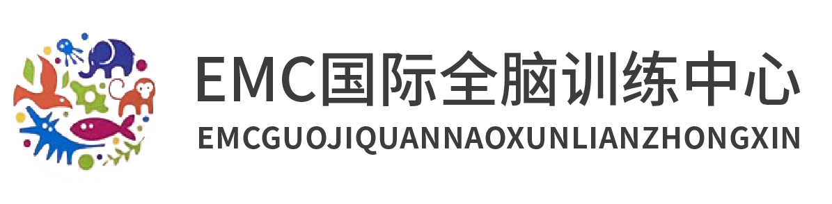 EMC國際全腦訓(xùn)練中心