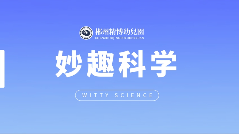 妙趣科學(xué)課-北湖區(qū)精博幼兒園