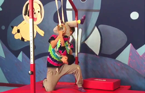 全能體操家課程-悅寶園早教 全能體操家課程-悅寶園早教